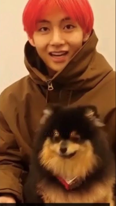 V of BTS and Yeontan give artistic touch in the cozy 'Rainy Days