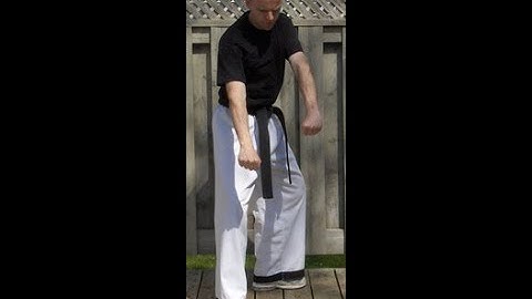 Taekwondo: Hapkido: Foundations: Double low punch - front view