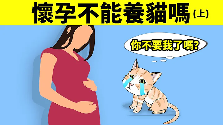 怀孕不能养猫吗？（上）弓形虫篇 | 养猫容易感染弓形虫，导致胎儿畸形或流产吗？ - 天天要闻