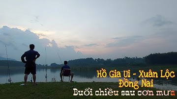 B&B-TV / Câu cá tự nhiên sau cơn mưa tại Hồ Gia Ui - Xuân Lộc Đồng Nai