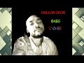 ROCKSTAR- Da baby ft Roddy Ricch (Bass cover) #rockstardababy