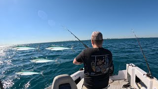King Mackerel Fishing in Fort Pierce 