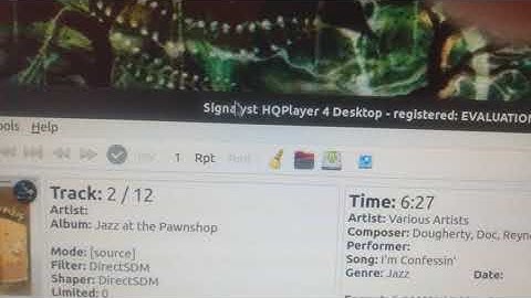 PURE DSD USB DAC PLAYBACK IN  LINUX WITHOUT ANDROID OR VIRTUALIZATION.