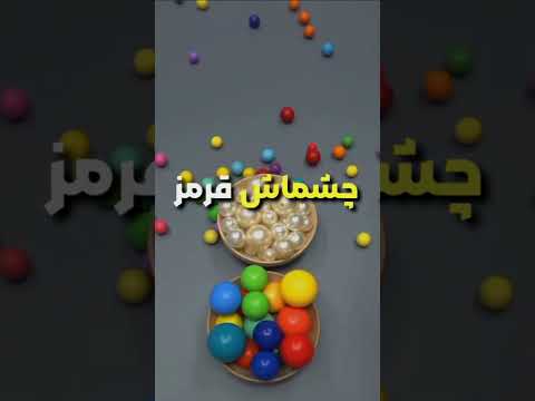 وقتی ناظم مدرسه کلاسو با طویله اشتباه گرفت طنز کلیپ فیلم ایران داستان یوتیوب ترند شورت فان