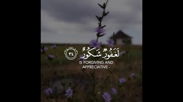 (وقالوا الحمد لله الذي أبعد عنا الحزن | القارئ نايف الفيصل حالات واتساب دينية