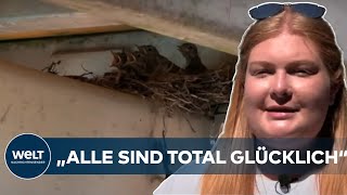 BACHSTELZEN-NACHWUCHS IM FREIBAD: Sprungturm gesperrt - Badegäste trotzdem hocherfreut