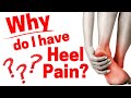 WHY do I Have Heel Pain? Foot Doctor Answers