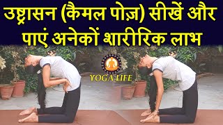 Learn Camel Pose (Ushtrasana) Step By Step and Get Its Amazing Benefits|| Yoga Life