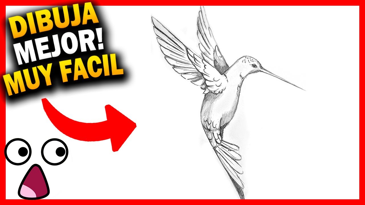 Cómo 🅳🅸🅱🆄🅹🅰🆁 un COLIBRI REALISTA paso a paso 🐦 *Dibujos a lápiz*  [MUY FÁCIL] - thptnganamst.edu.vn