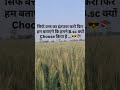 😎📚 🗣️|| #shorts #shortvideo #trending #shortsfeed #subscribe #agriculture #farming #गेहूं #farmer