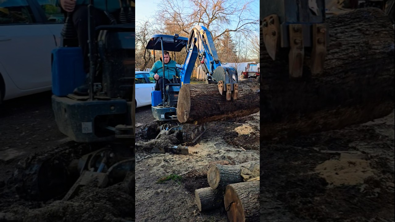 $1999 Mini Excavator Lifting Log