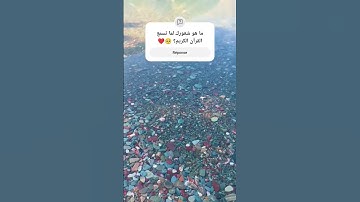 "أتأمرون الناس بالبر وتنسون أنفسكم وأنتم تتلون الكتاب أفلا تعقلون" #القرآن_الكريم القرآن#سورة_البقرة