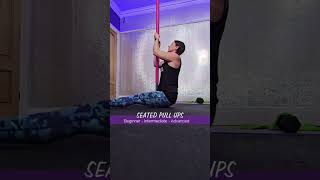 Levelled Seated Pull Ups #polelesson #polecombo #polefitness #pole