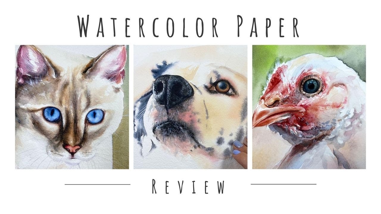NEW Hahnemuhle Collection Watercolor Paper Full REVIEW YouTube