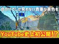 危険すぎるあの場所へリベンジしてきました【廃道】