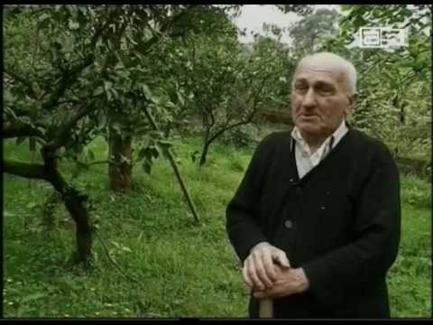 ბათუმთან შემოერთებულ ტერიტორიებზე მცხოვრებლებს სასოფლო-სამეურნეო ბარათები არ მიუღიათ