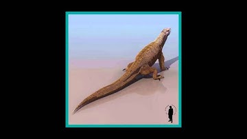 Lizard 3D model  | Animals Reptile 3D model | max, 3ds, obj, c4d, lwo