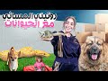 روتين المسائي مع الحيوانات كل يوم 