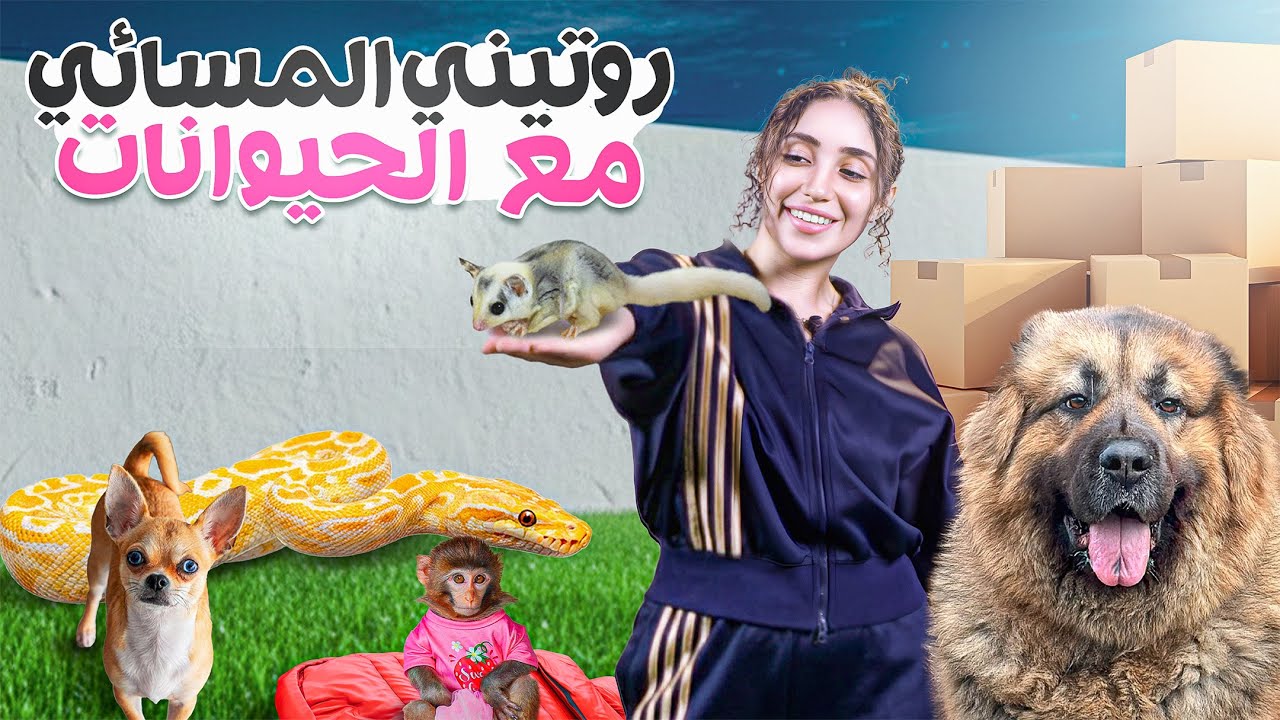 روتين المسائي مع الحيوانات كل يوم 😍