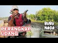 Pasang Perangkap Udang impes | Perangkap Udang Tradisional | Bubu Naga #tatangarya