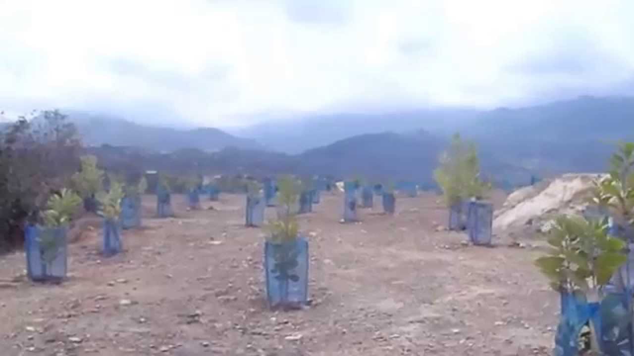 Avance de obras del Cerro de la Guadalupe 26 10 2 015