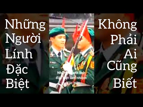 Video: Nuôi tôm càng trong ao