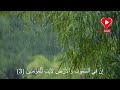 اسلام صبحي سورة الجاثيه