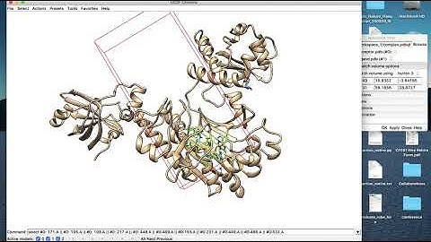 Protein-ligand docking with AutoDock Vina and UCSF Chimera