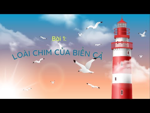 Chủ đề 6 - Bài 1: Loài chim của biển cả (phần 2)
