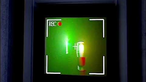 firstExpedition(19910529)