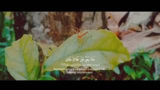 VIDEO CINEMATIC 30 detik|lagu sholawat 'Ya badrotim minha'|cinematic VN
