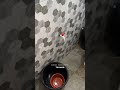 Такая квартира в Лагосе обошлась нам в 2000 руб (25$) за сутки. Как думаете, это много или мало?