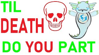 TIL DEATH DO YOU PART | Narrated RPG Horror Tale