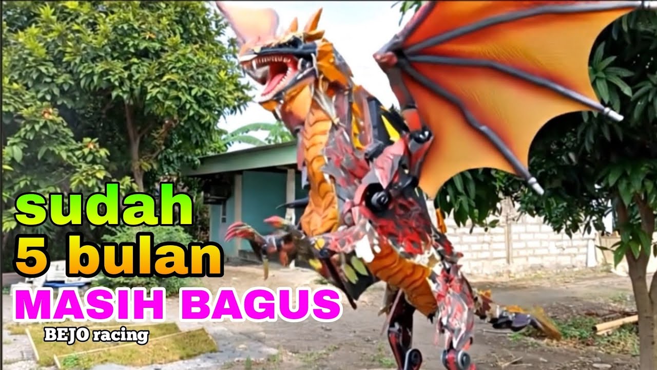 Review kondisi setelah 4 bulan takbir keliling 2025