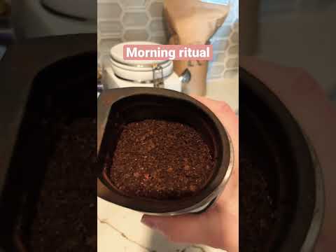 Morning Ritual French