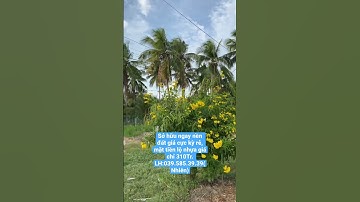 Wow! Đất giá cực kỳ rẻ luôn! Lộ nhựa, có thổ cư chỉ 310Tr 1 nền #shorts #bds #mientay #nhadat