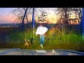 Tried to GET AWAY from the POLICE. Wild USA Police Chases.