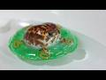 The Rain Frogs Went to a Water Park…