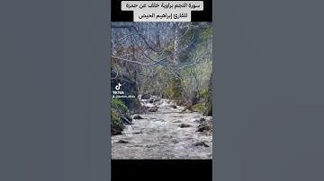 سورة النجم برواية خلف عن حمزة للقارئ إبراهيم عبد