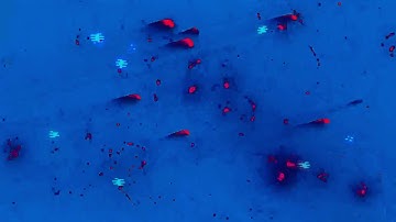 Orbital Molecular - Orbe | Minimalist Experimental Live Looping & Video Art