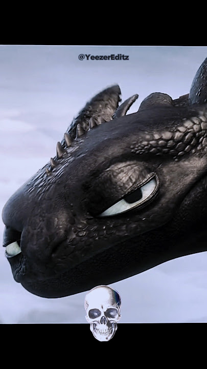 Toothless be like : 'Yeah He does those kinda things' 😂 #httyd #howtotrainyourdragon #edit #phonk