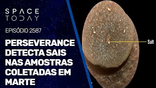 PERSEVERANCE DETECTA SAIS NAS AMOSTRAS COLETADAS EM MARTE