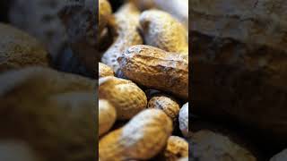 3 Types of Seeds | Albuminous, Non-Albuminous &amp; Perisperm Explained #Seeds #Biology #EducationShorts