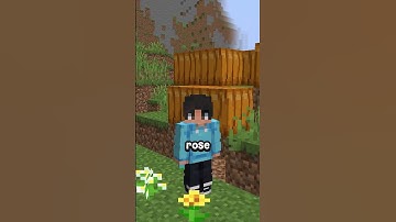 Minecraft, But Block Drops Are Random… #shorts