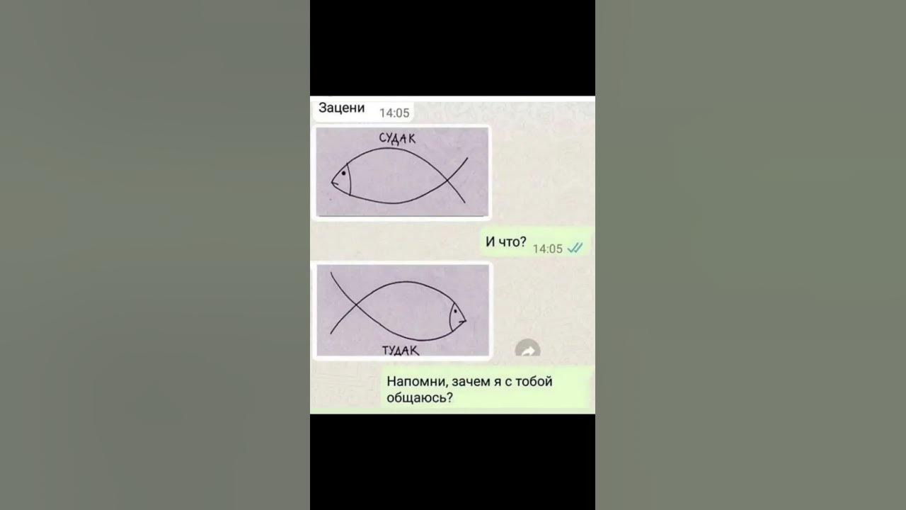судак тудак - YouTube