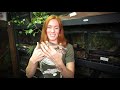 How Snakes Shed Their Skin