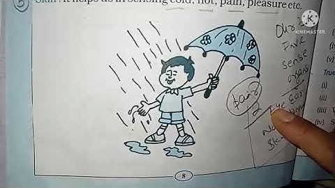 Class 2nd EVS Chapter 1 Our Body- by Abhilasha mam