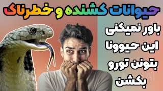 حیوانات کشنده:حیوانات خطرناکی که حتی تصورش رو هم نمیکنید کشنده باشن??