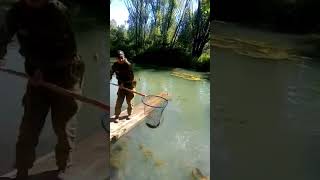 Поймали форель на озере в горном Алтае. Удочка гнётся