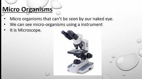 What are Micro-organisms | Grade 6 Science